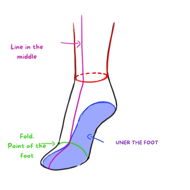 heel shoes diagram