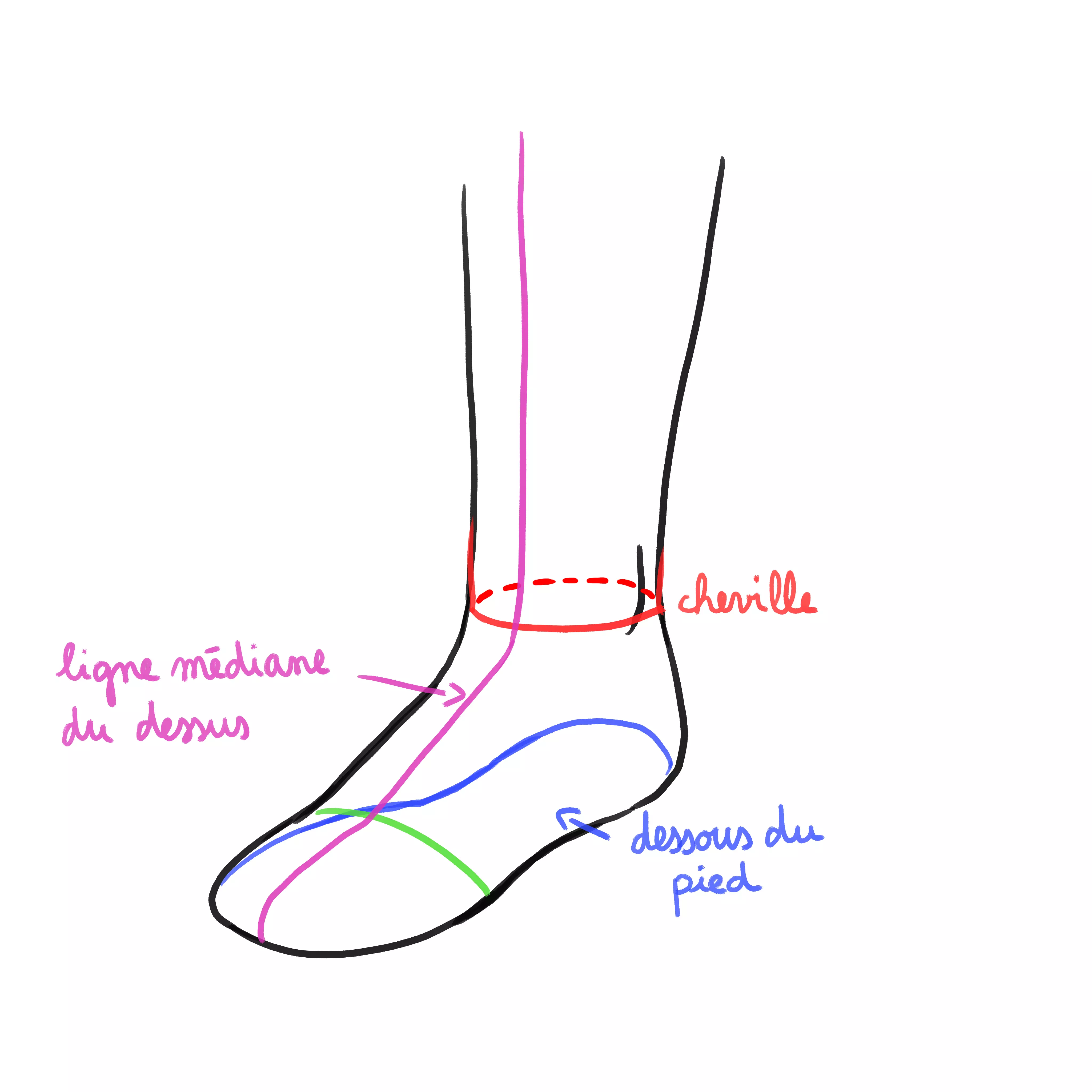 schema d’un pied à plat