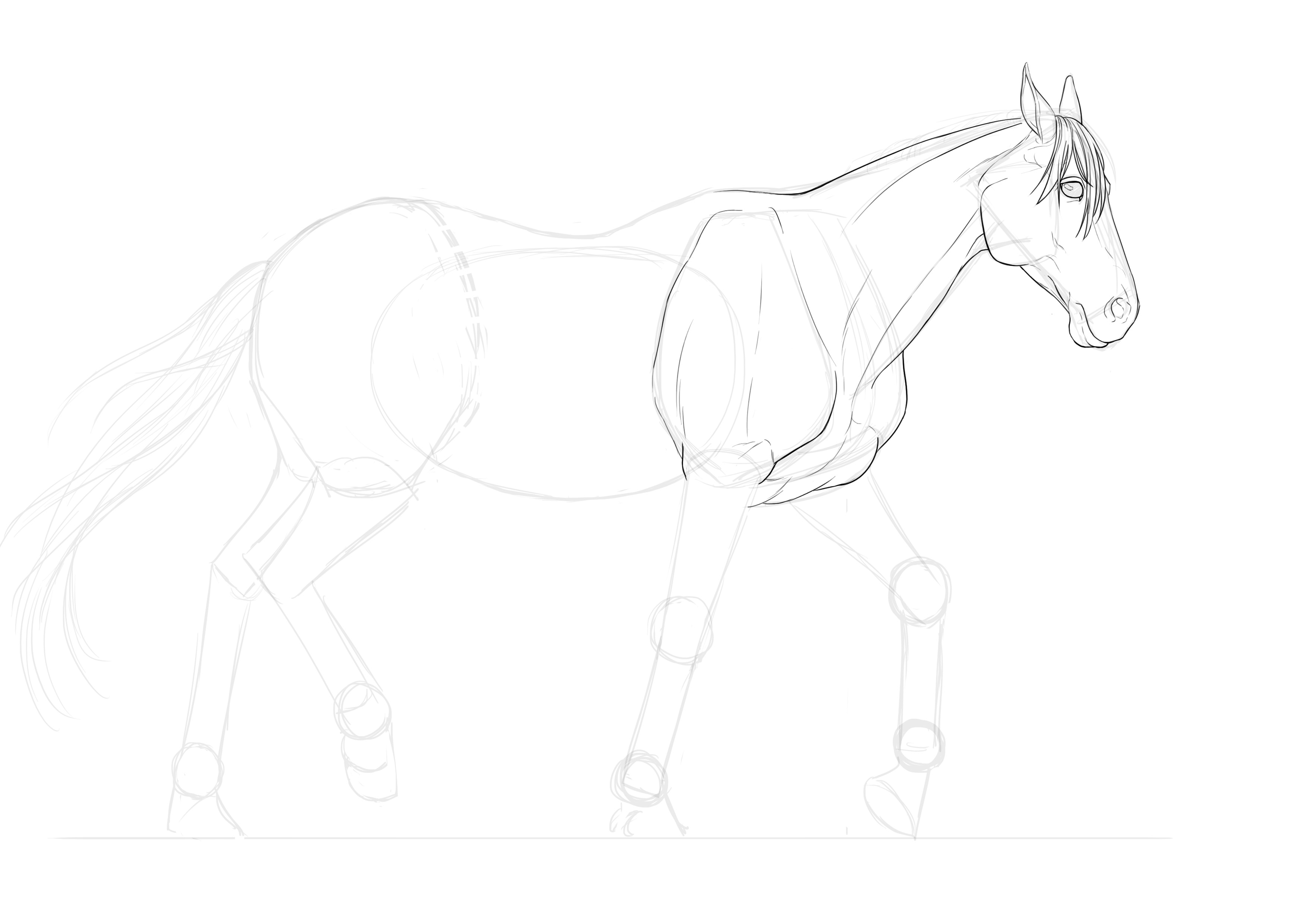 Dessiner les détails des épaules