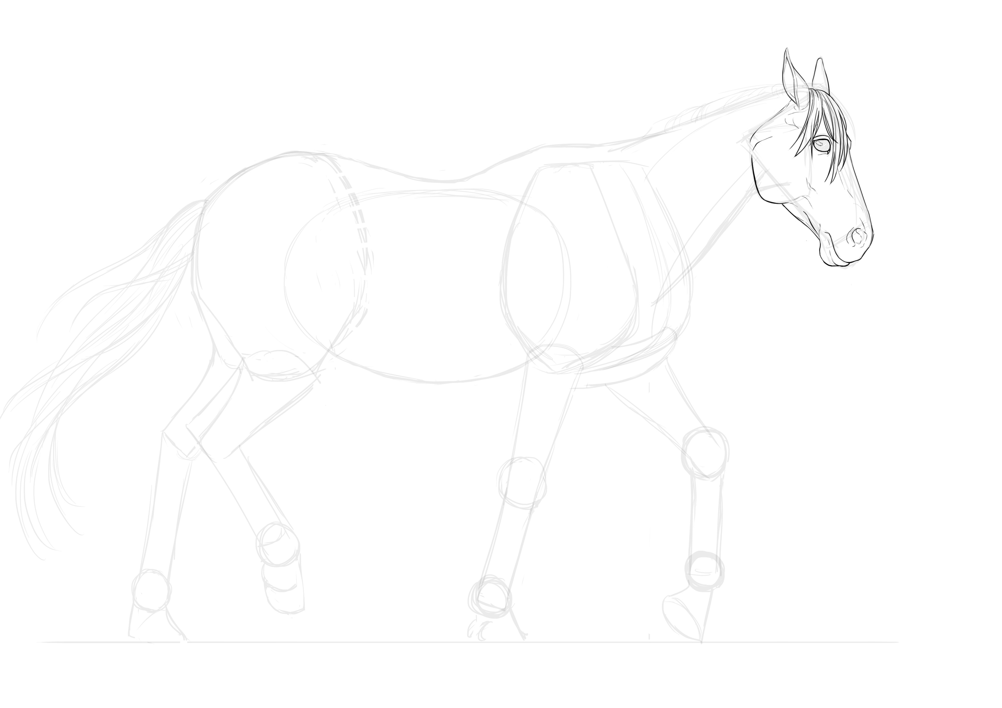 Dessiner les détails de la frange du cheval