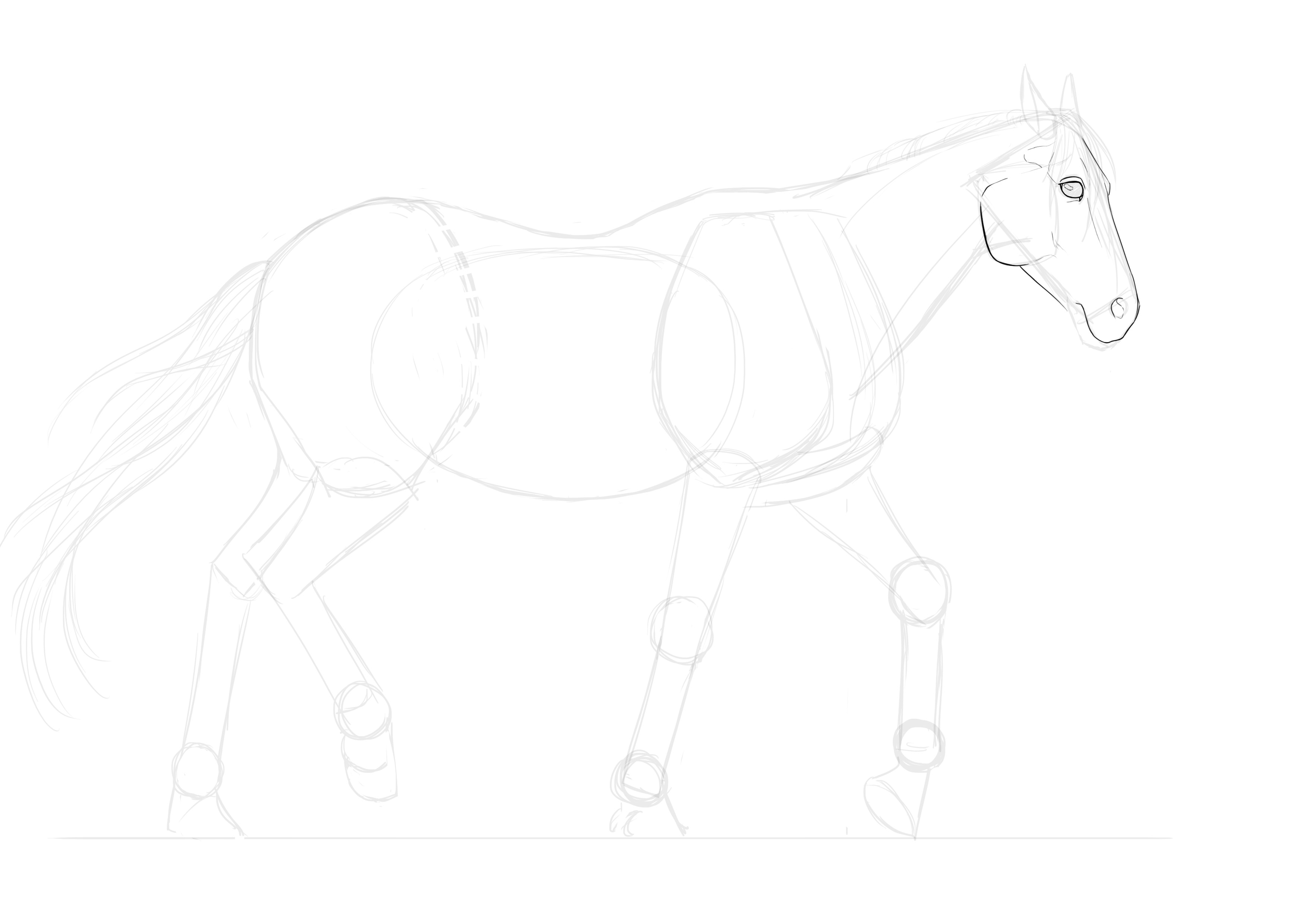 Dessiner les détails de la tête du cheval, étape 3