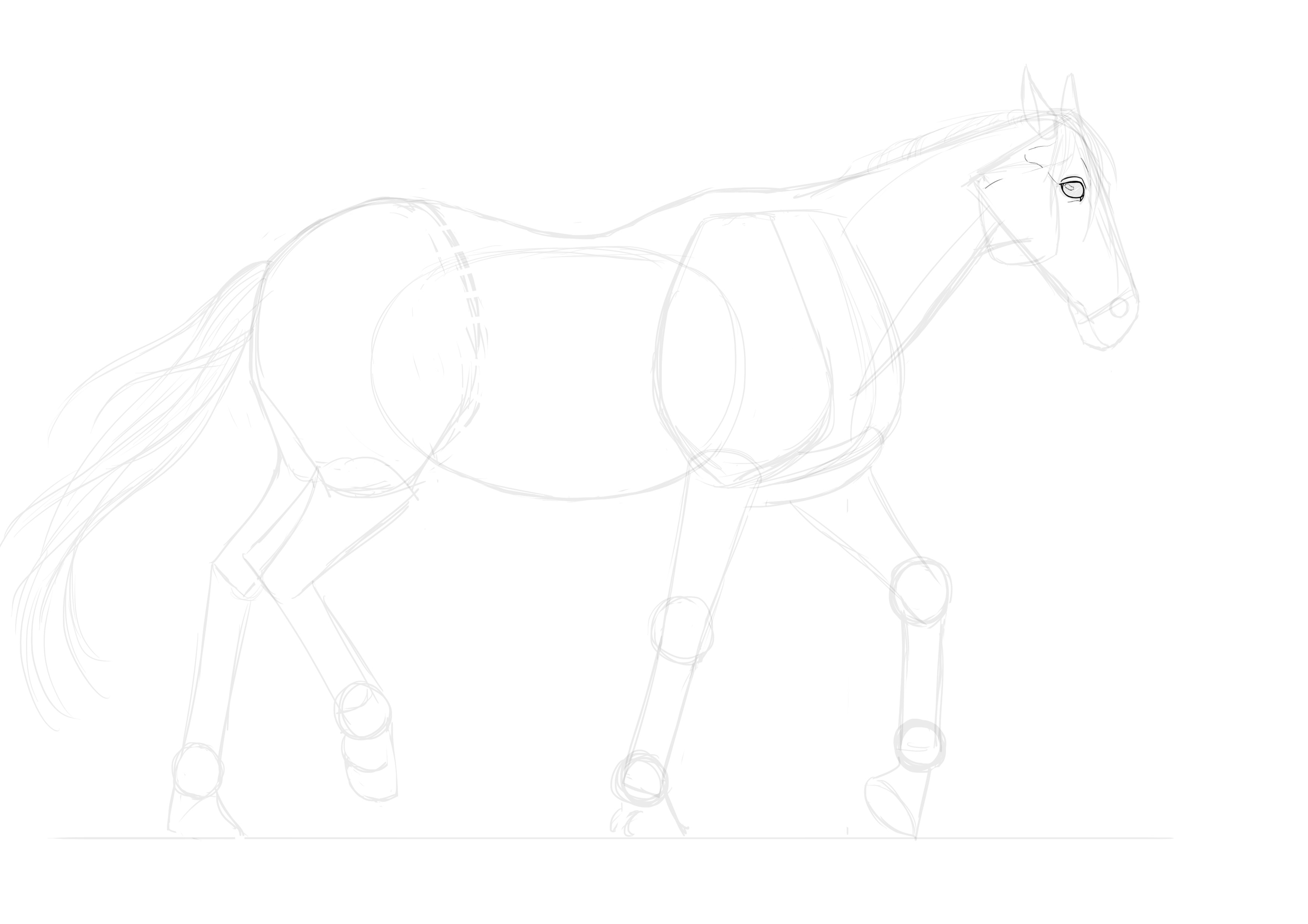 Dessiner les détails de la tête du cheval