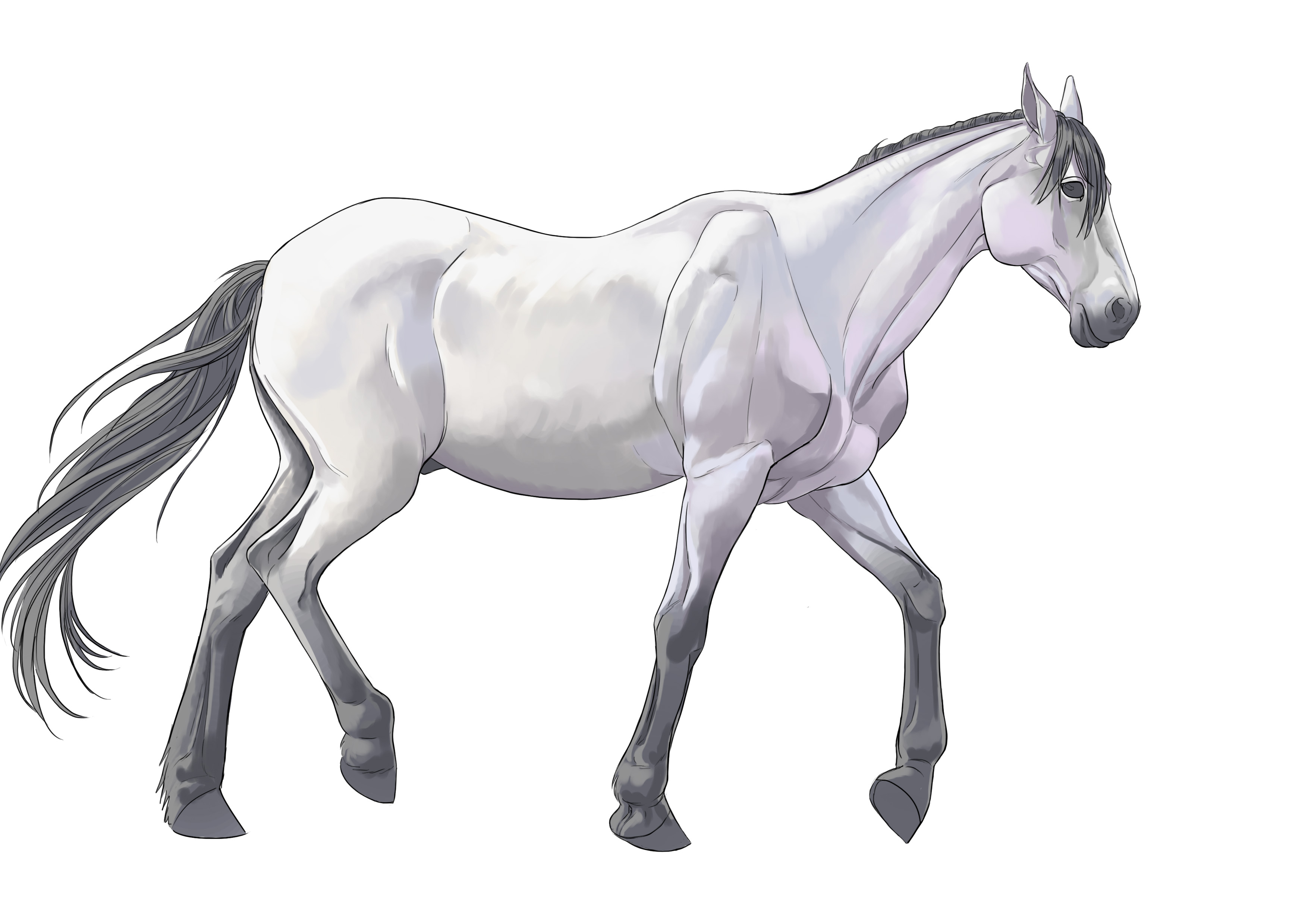 Appliquer les ombres au dessin