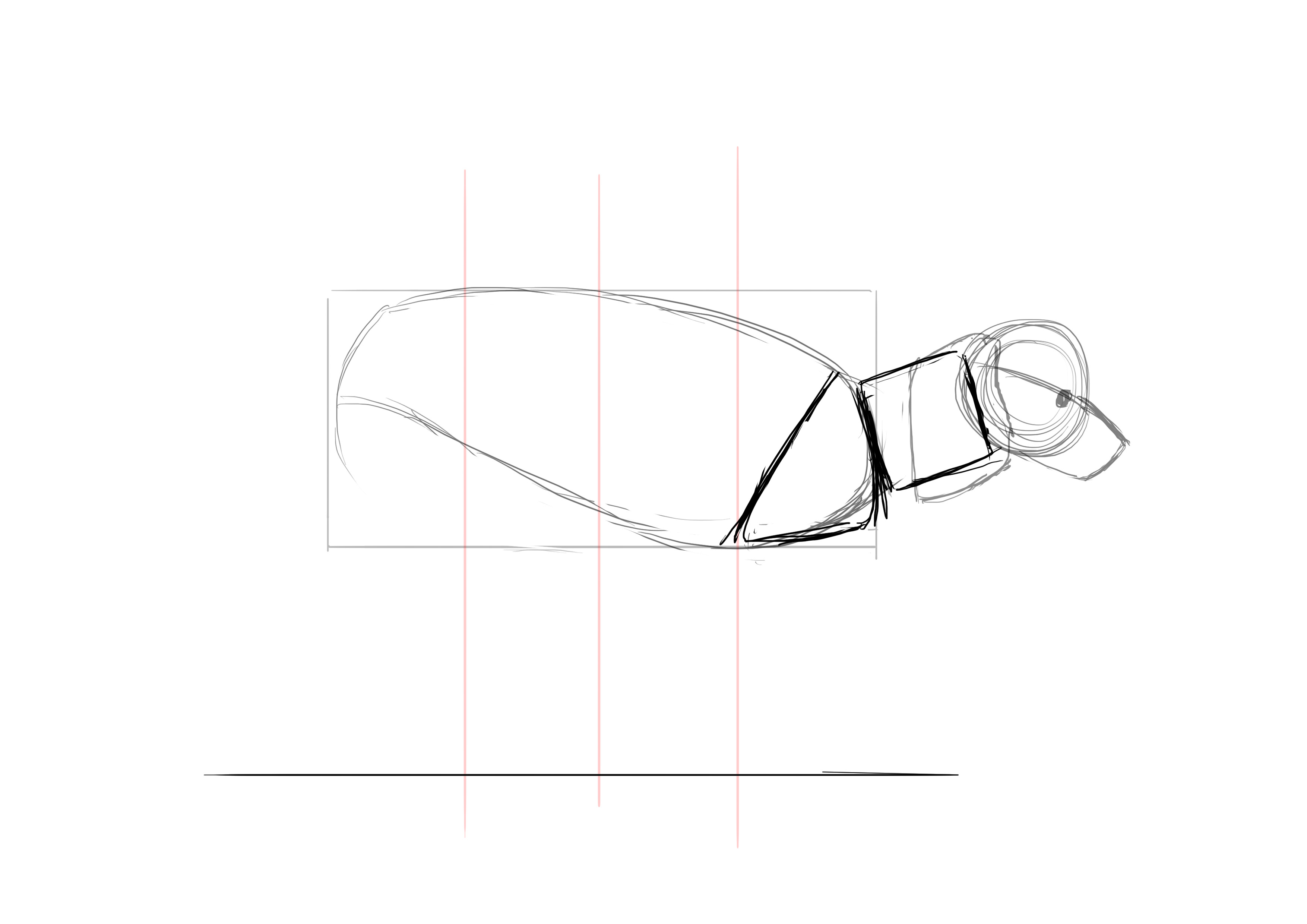 Dessiner les épaules du caniche