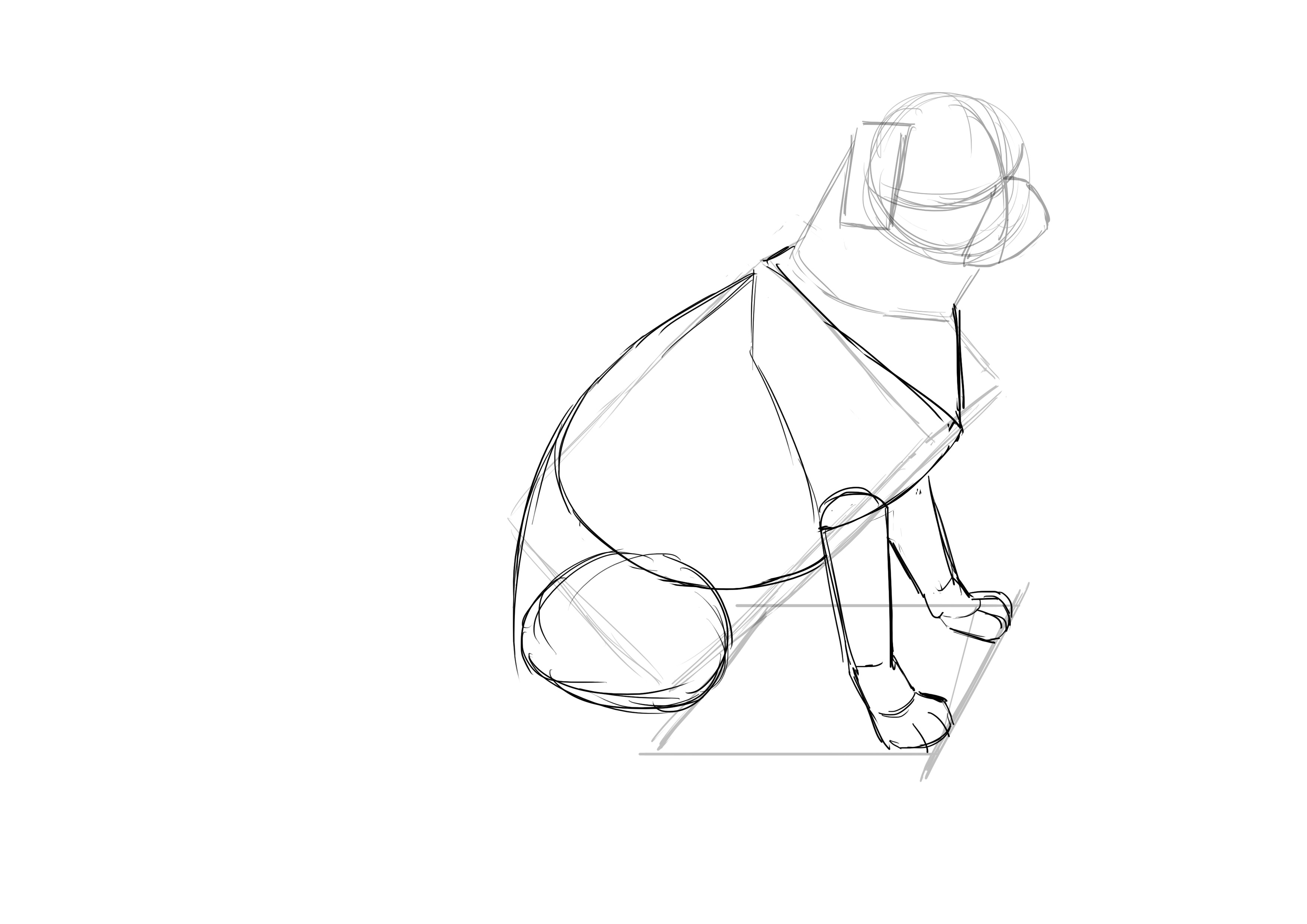 Dibujar el muslo del perro