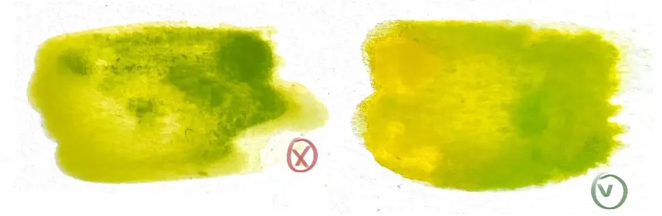 la capacité de mélange de l’aquarelle