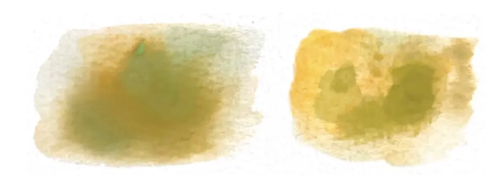 évitez d'utiliser d'autres peintures diluées comme substitut à l'aquarelle