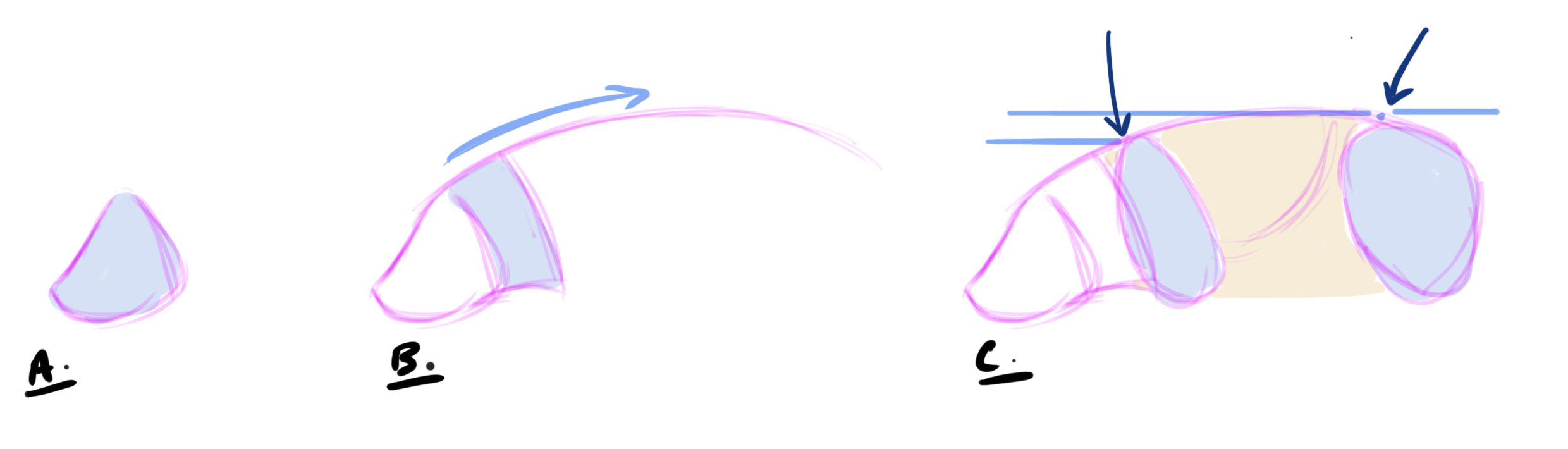 croquis des bases du cochon