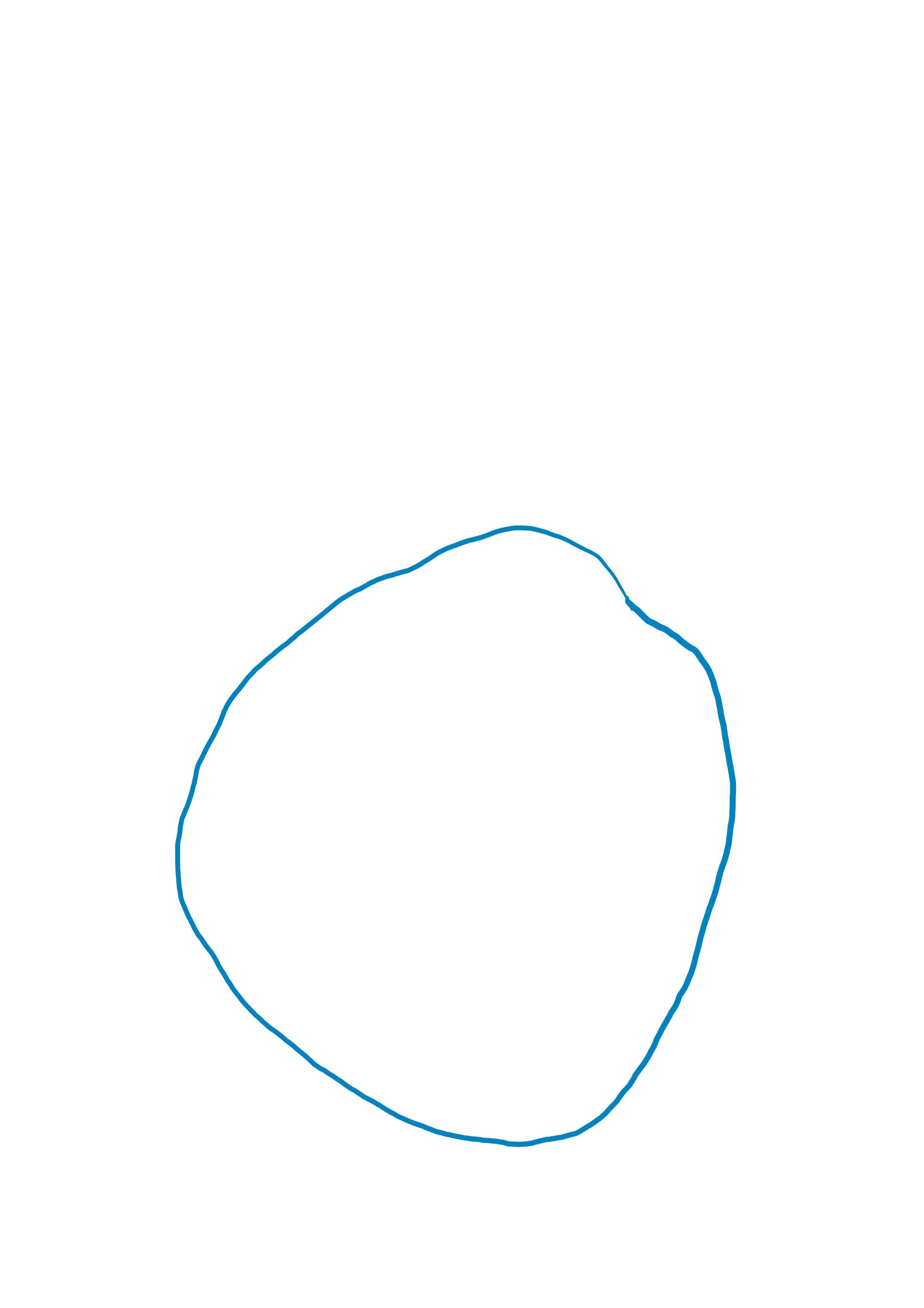 dessiner les ventricules gauche et droit du coeur anatomique