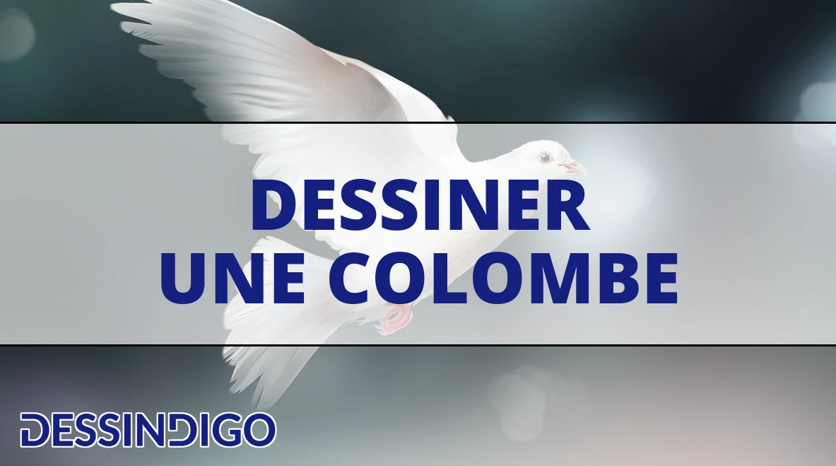 Comment dessiner une colombe