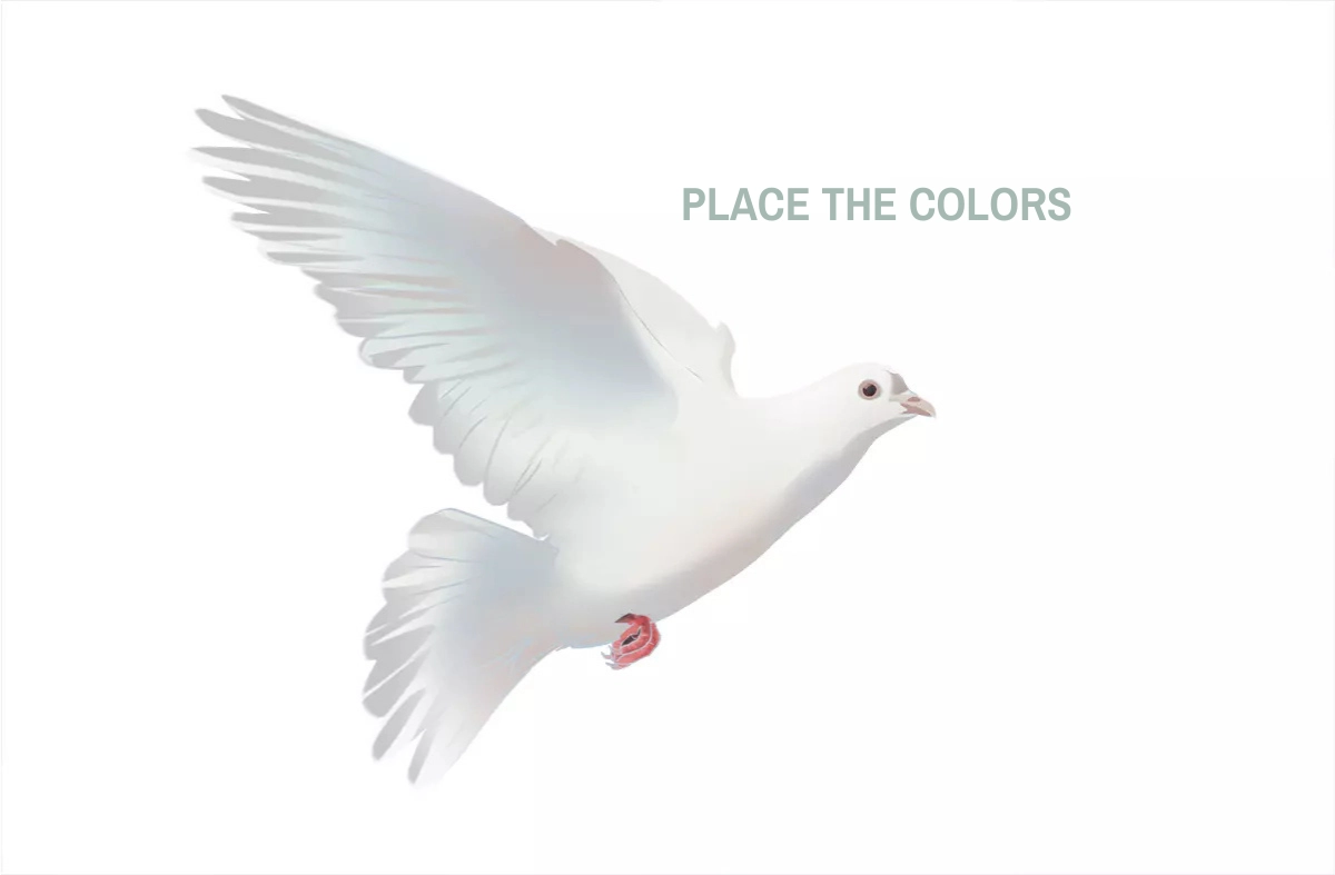 color drawing of a dove