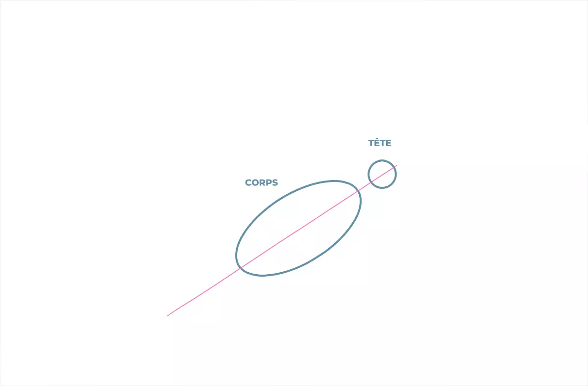 dessin du corps et de la tête d’une colombe