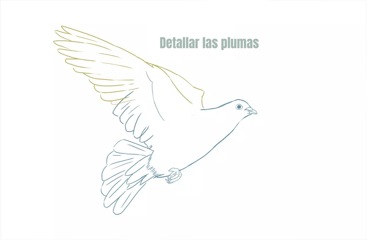 dibujo detallado de las plumas de una paloma