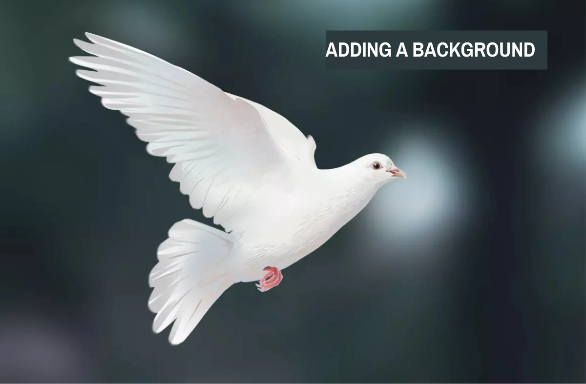 drawing of a dove with a background