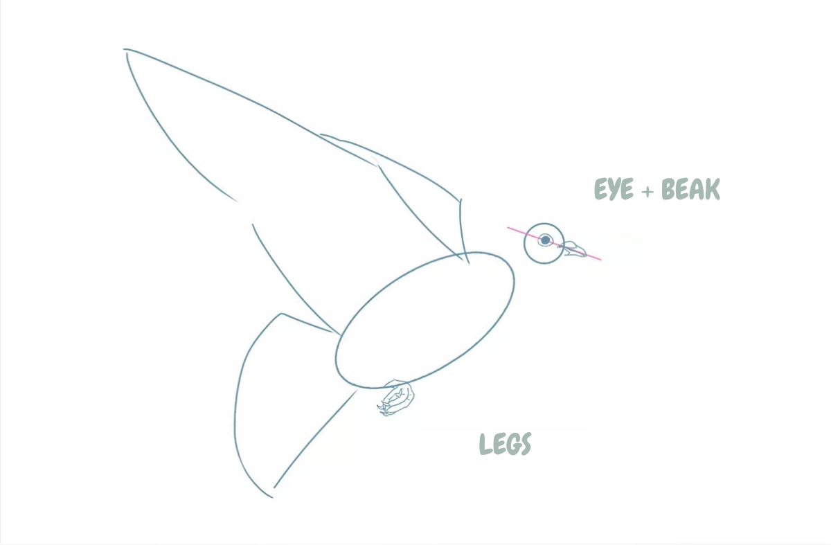 drawing of the face and paws of a dove