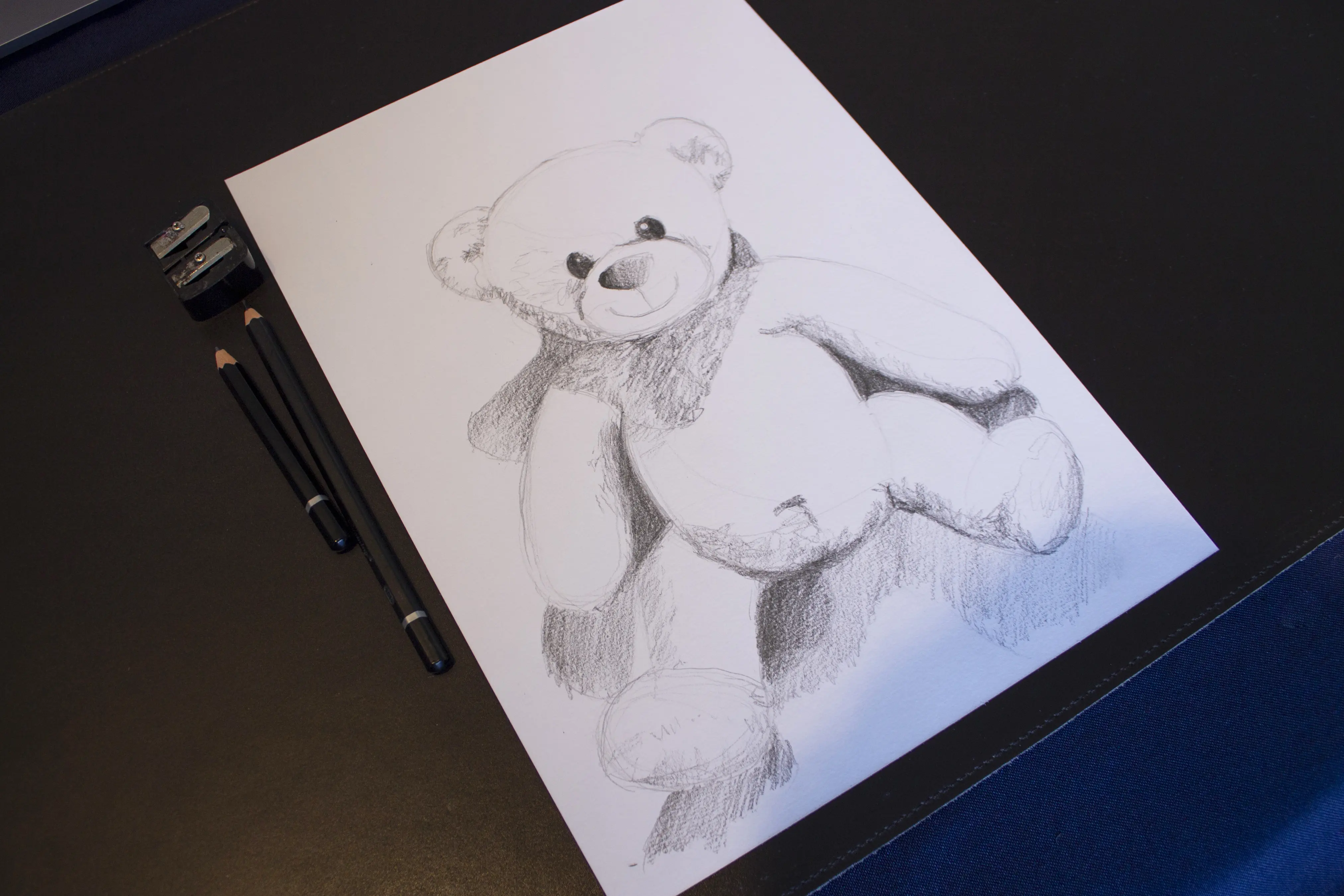 dessiner les détails d’un ours pour illustrer l’amélioration du contraste
