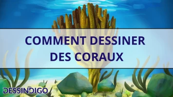 Comment dessiner des coraux