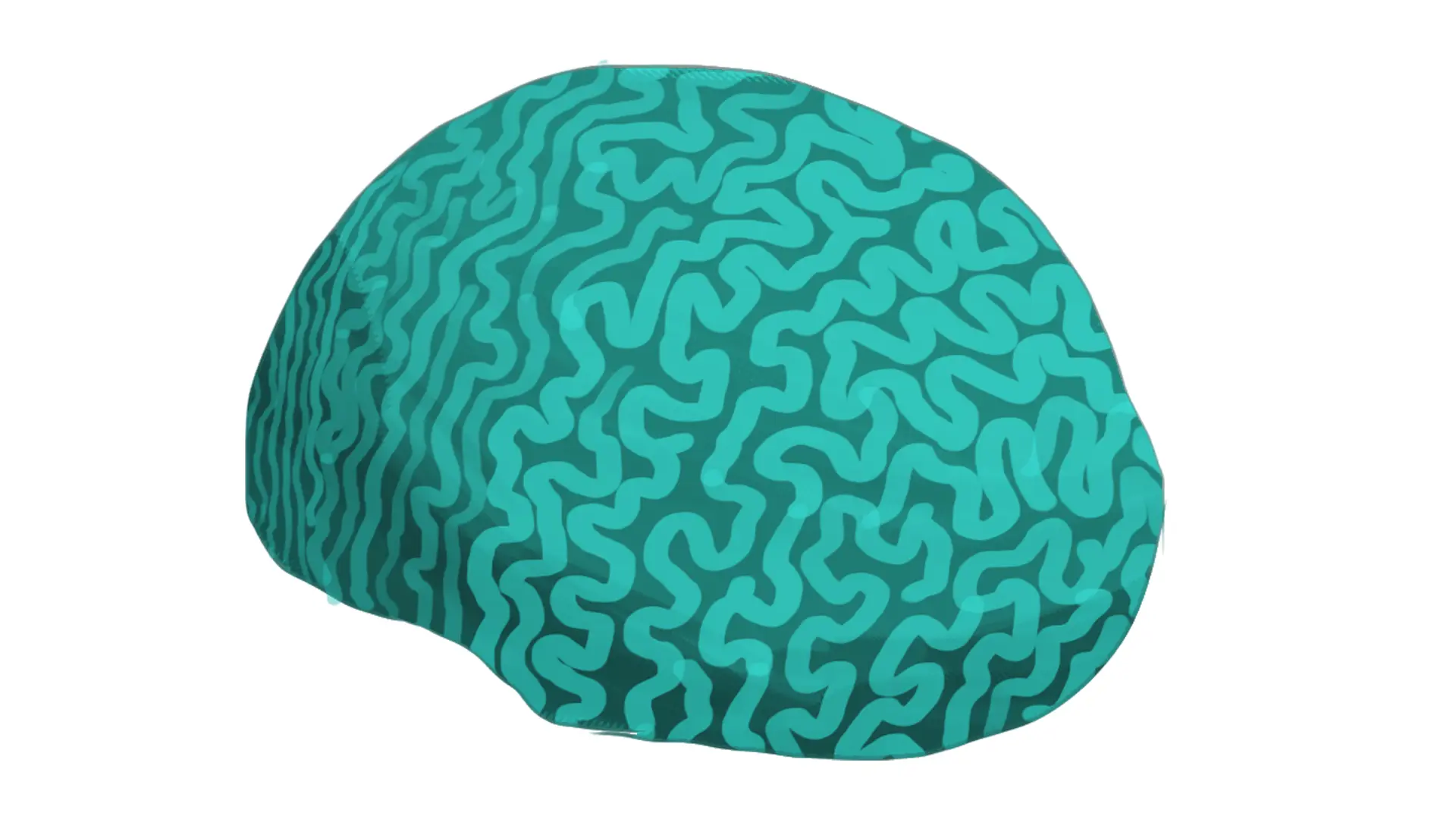 dessin d’un corail cerveau de neptune