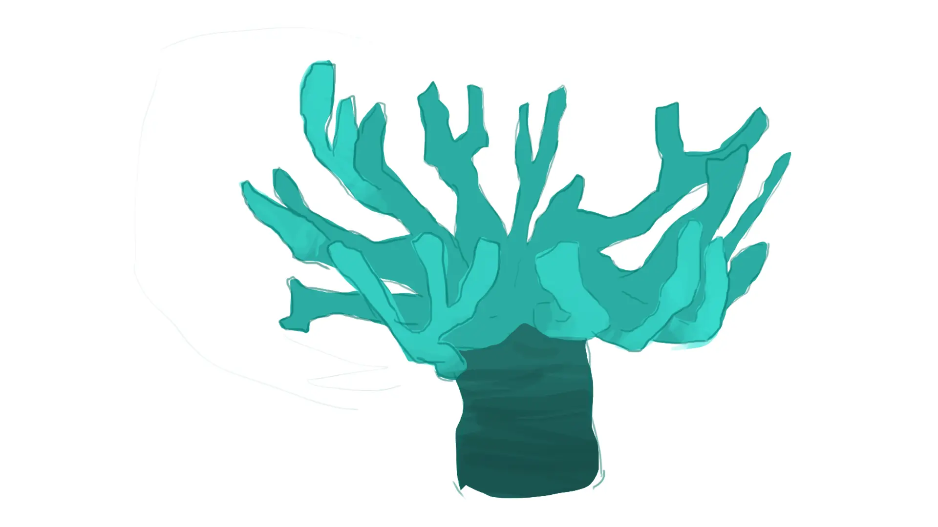 dessin d’un corail corne d’élan