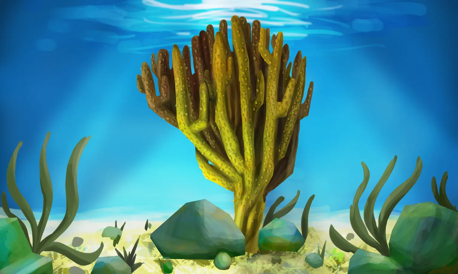 dessin d’un corail