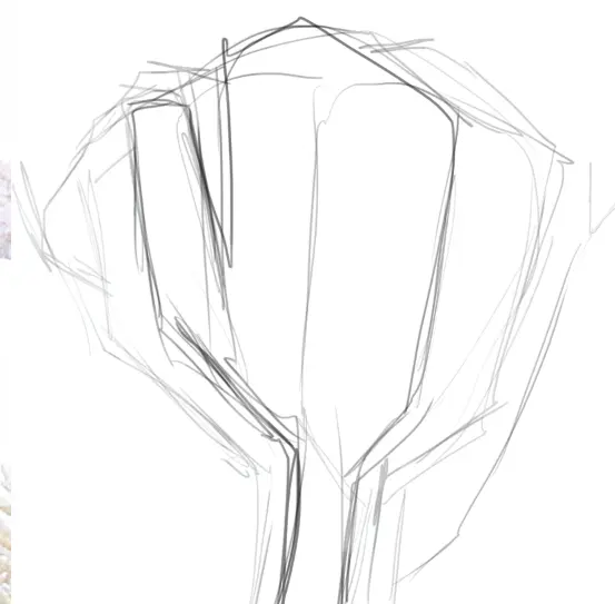 dessiner la forme d’un corail