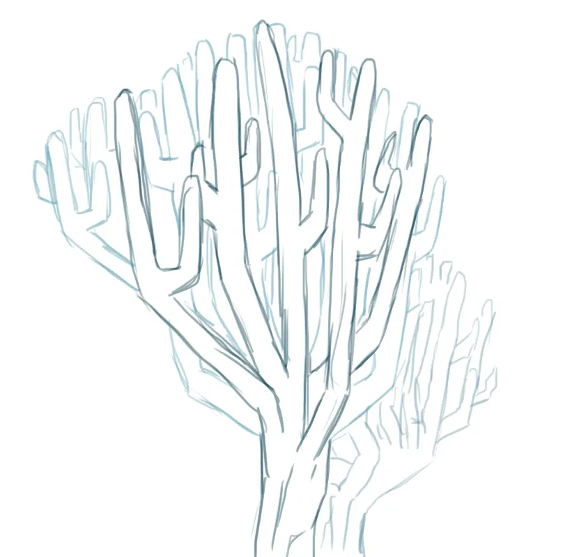 dessiner les motifs d’un corail