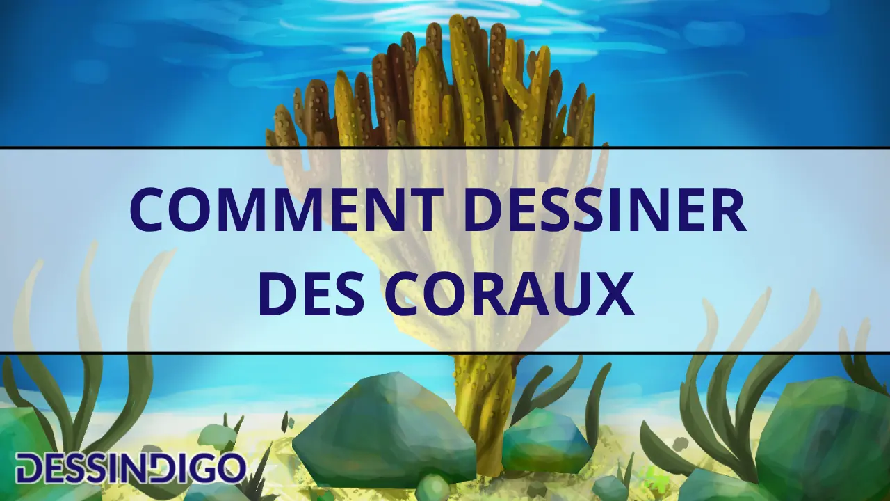 Comment dessiner des coraux