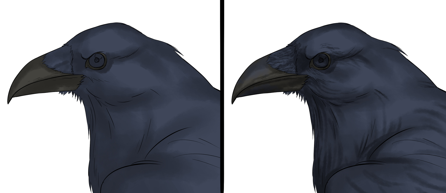 dessiner les ombres de la tête d'un corbeau