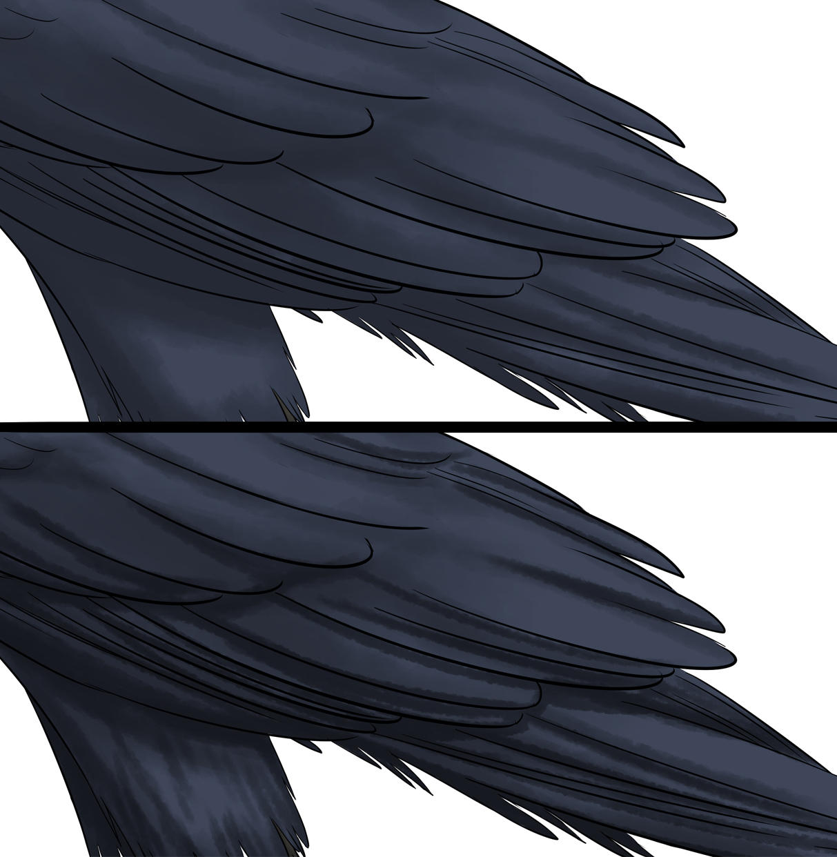 dessiner les ombres des plumes d'un corbeau