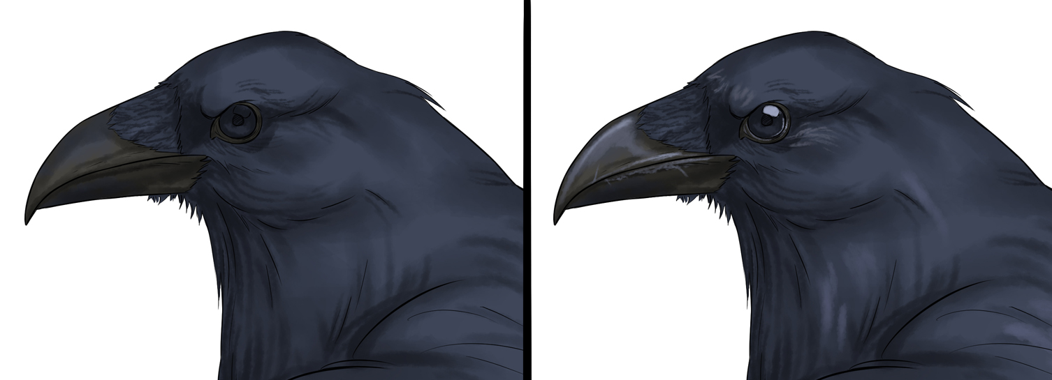 dessiner les ombres du bec d'un corbeau