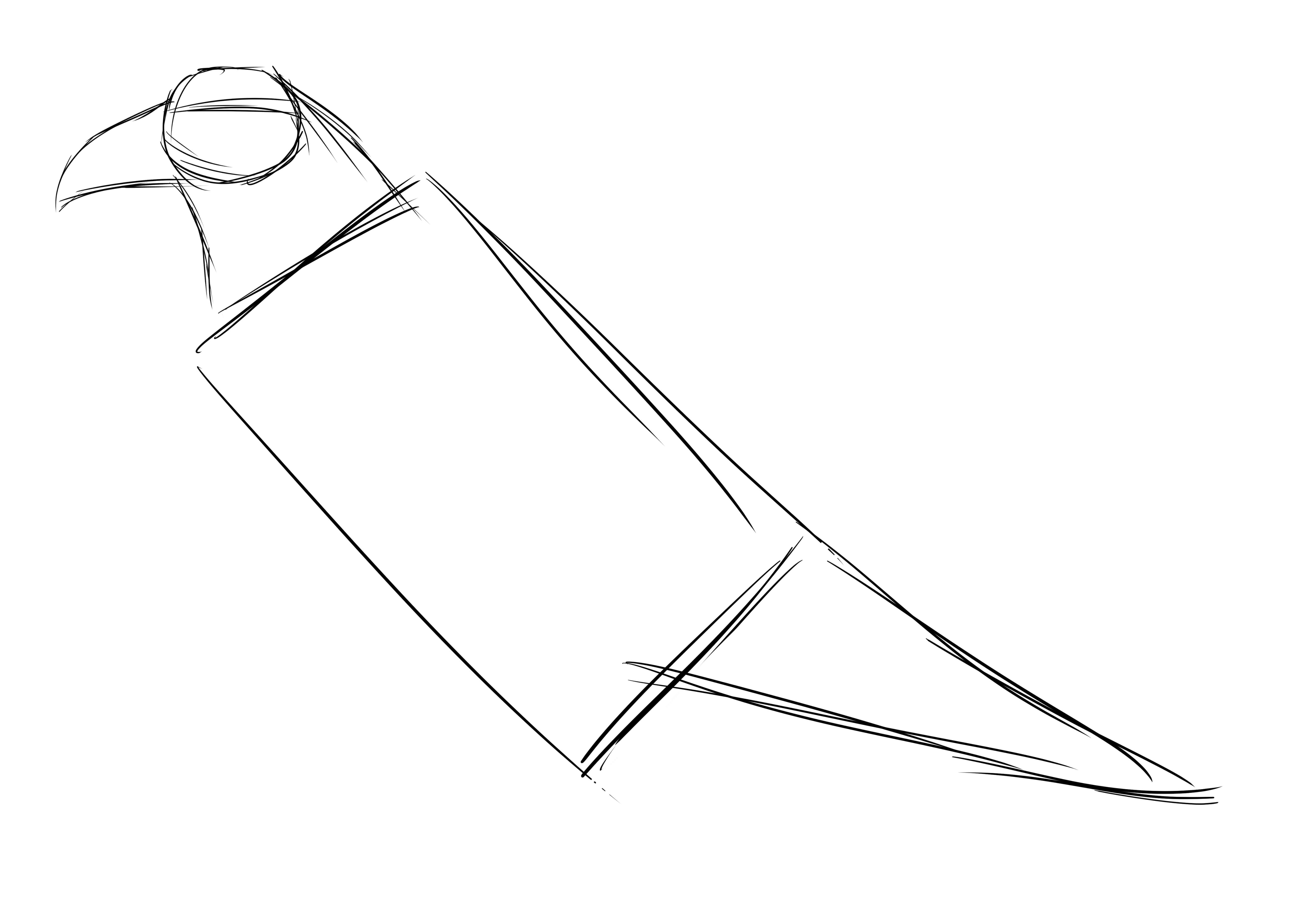 Comment dessiner un corbeau, étape 2