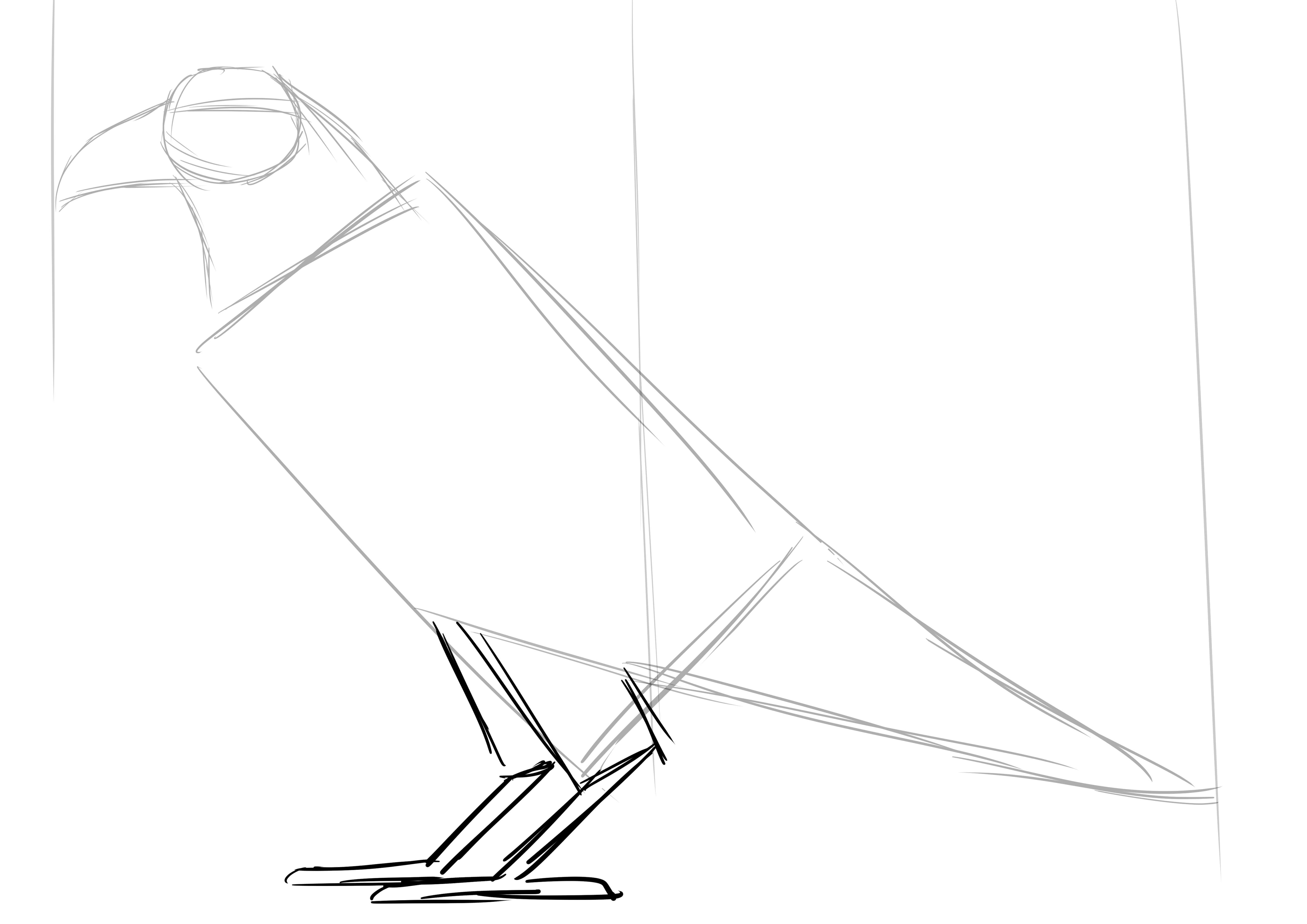 Comment dessiner un corbeau, étape 3