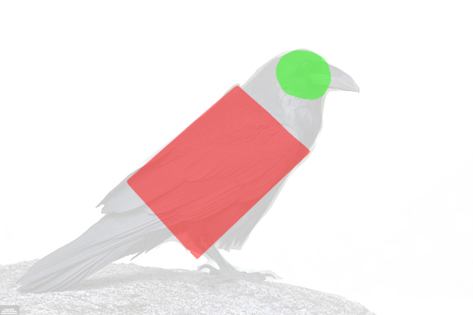 dessiner la base d'un corbeau