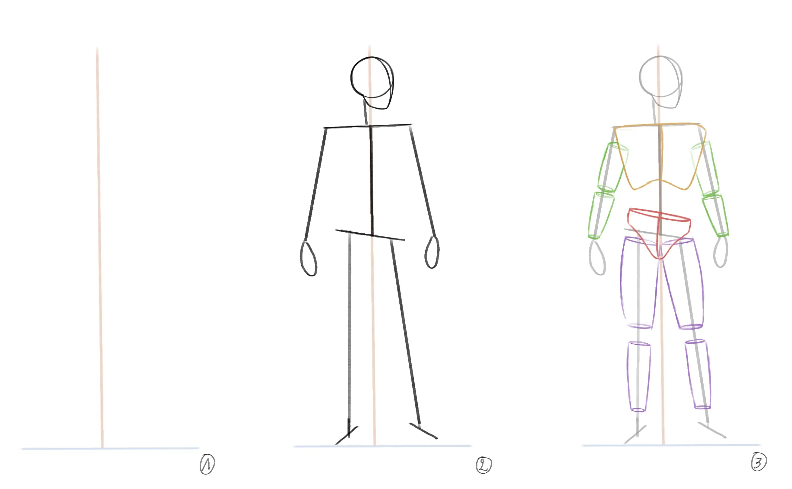 dessiner la base du corps d’un homme