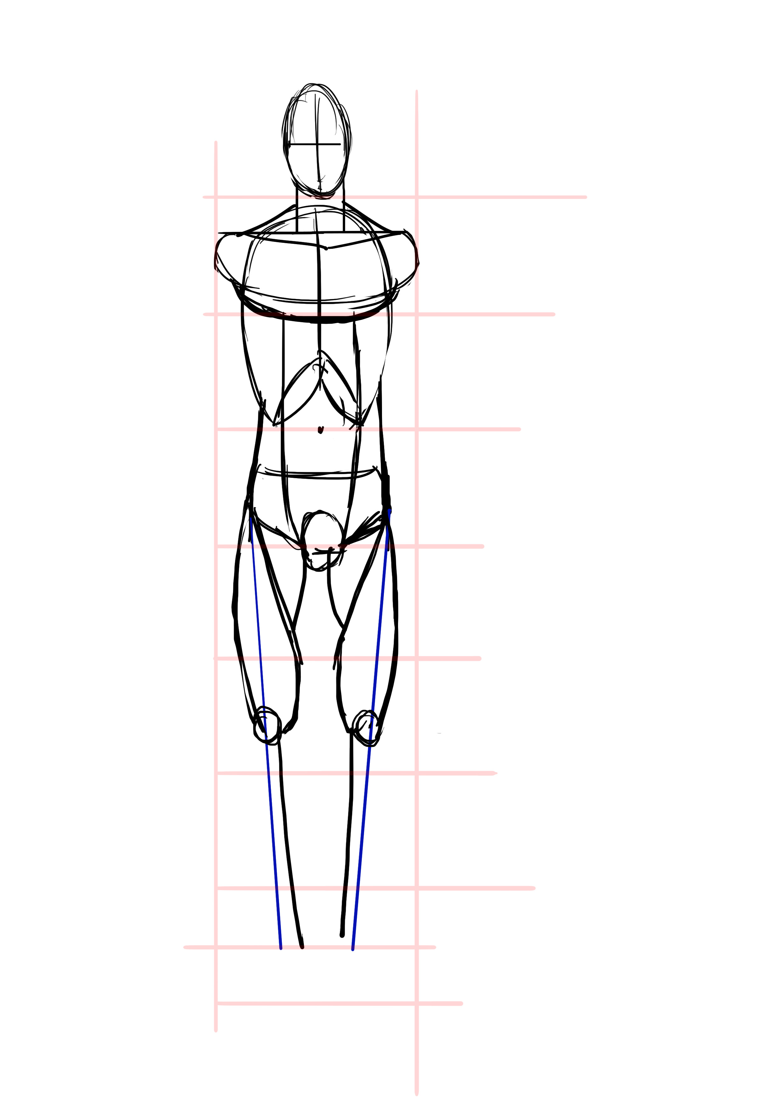 dessiner le tibia d’un homme de face