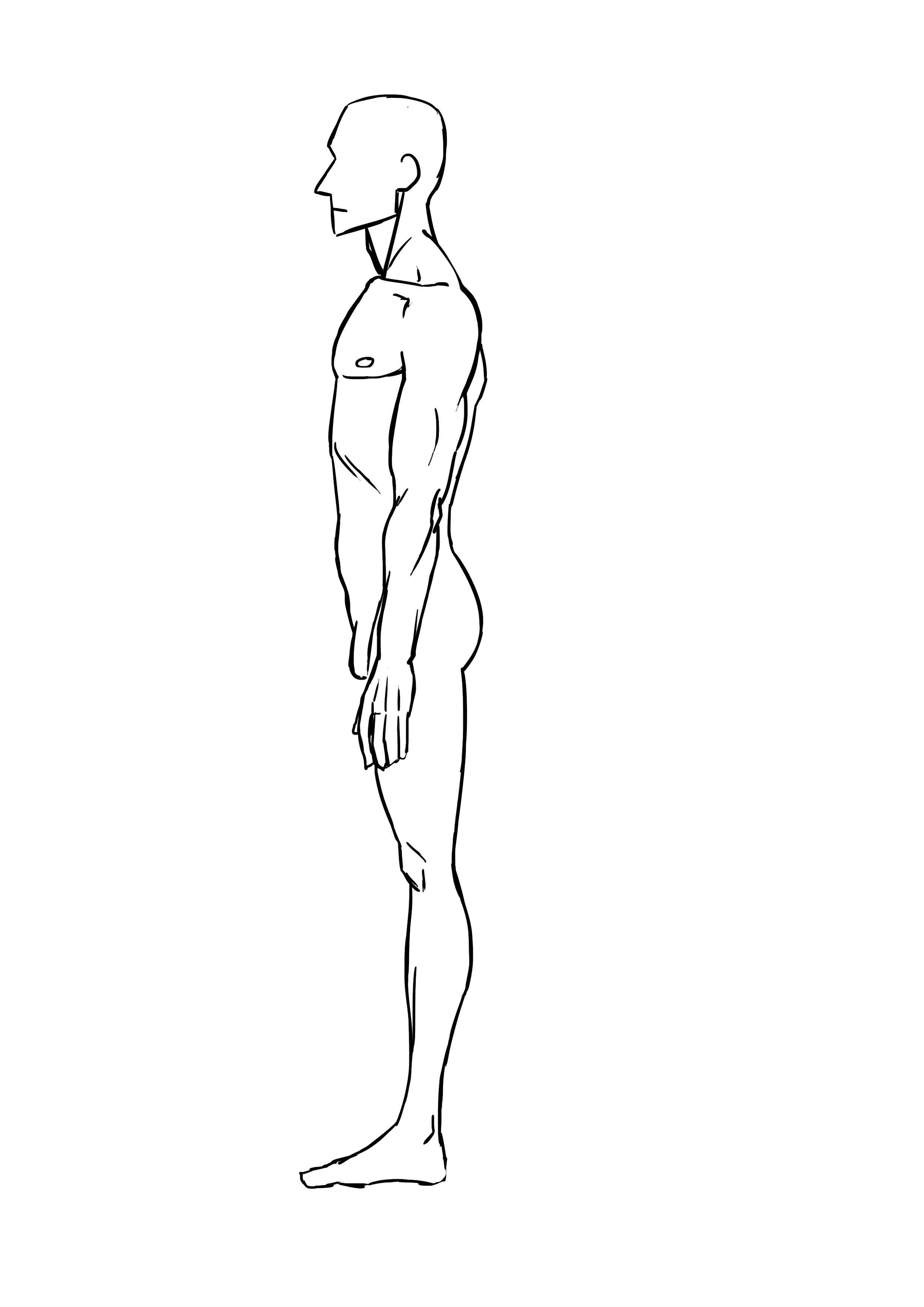 How to Draw a Man's Body