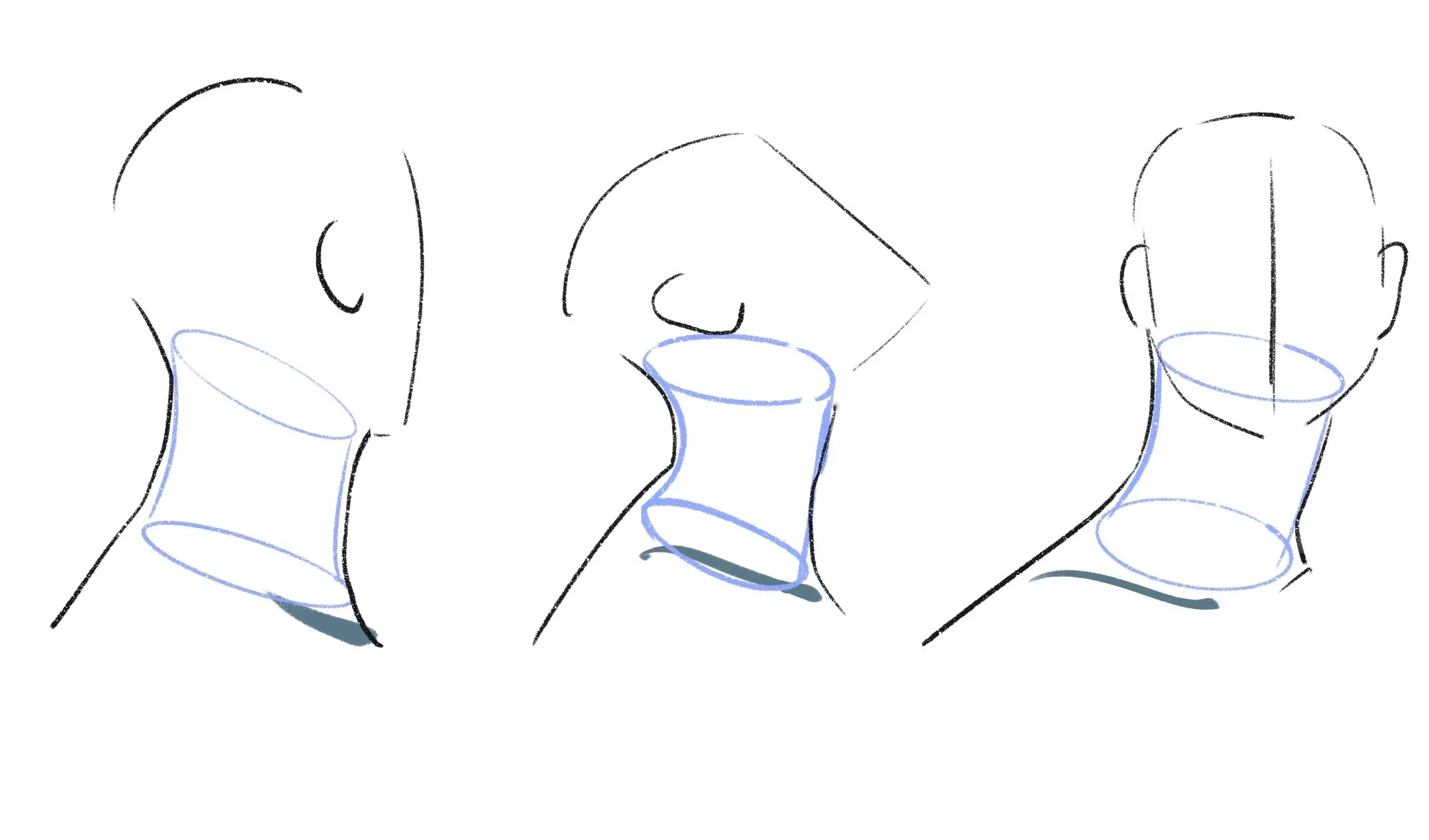 dessiner la base d’un cou en mouvement