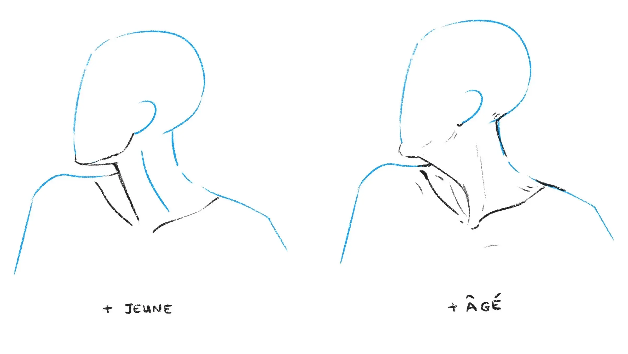 dessiner le cou d’une personne âgée