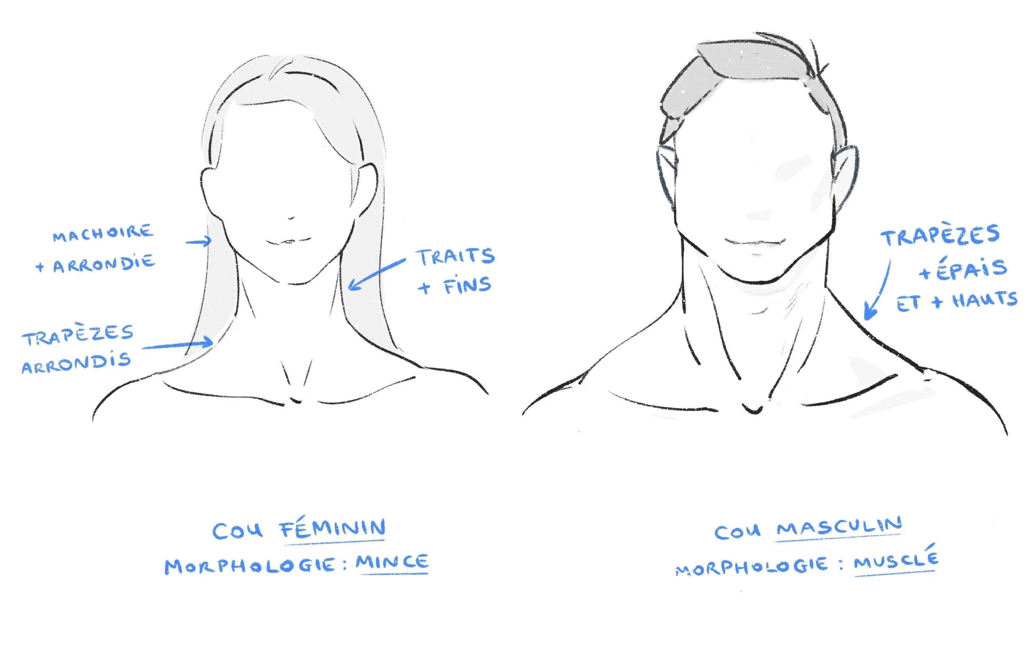 dessiner le cou d’un homme et d’une homme