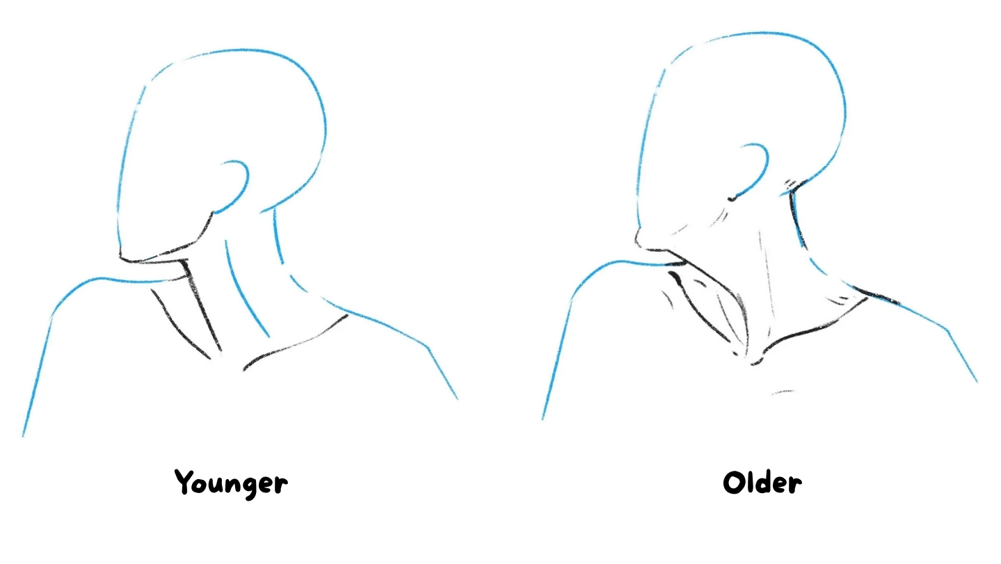 drawing of the neck of an old person