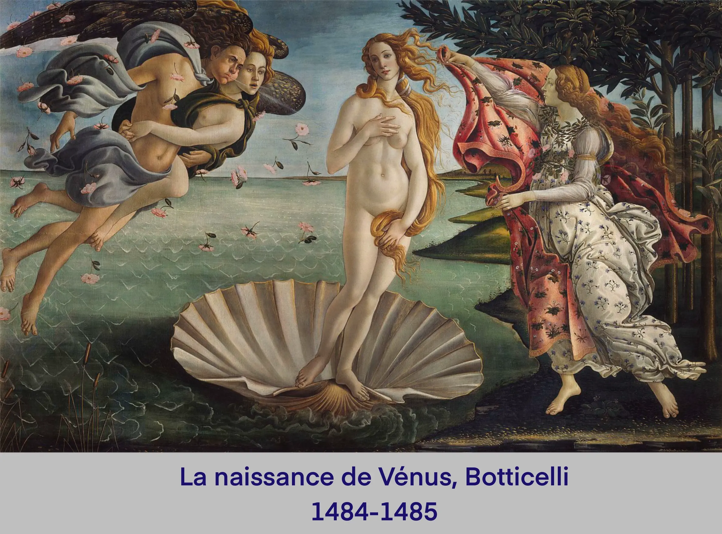 Renaissance, The Birth of Venus, Botticelli