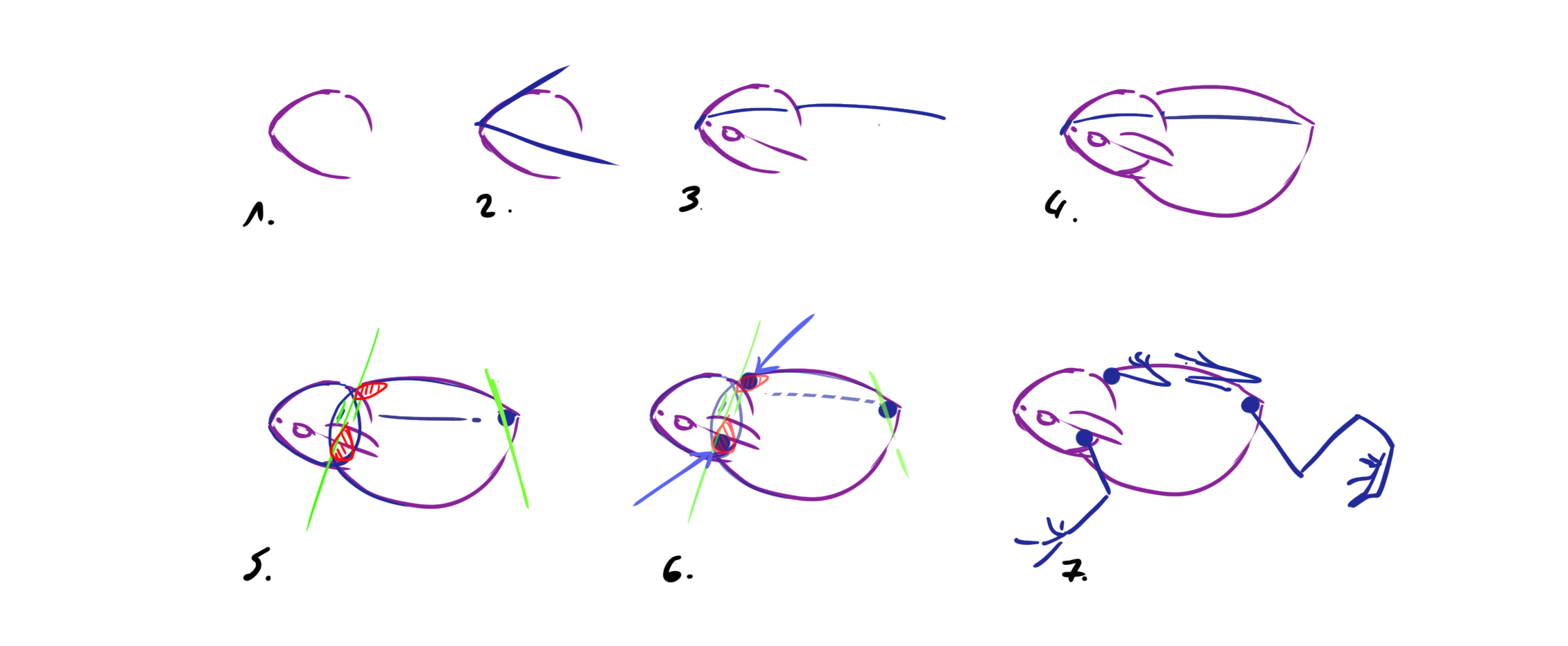 dessiner un crapaud étape 1