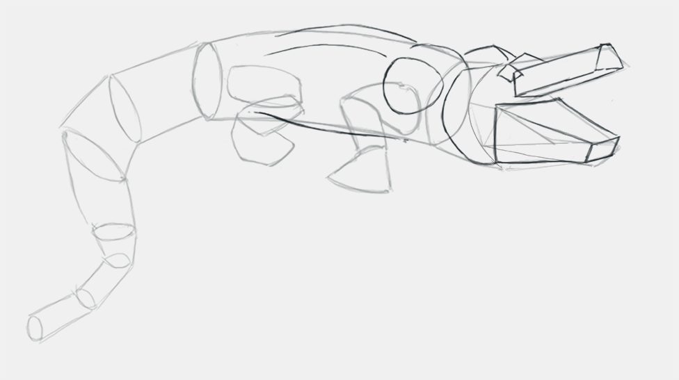 dessiner un crocodile étape 14