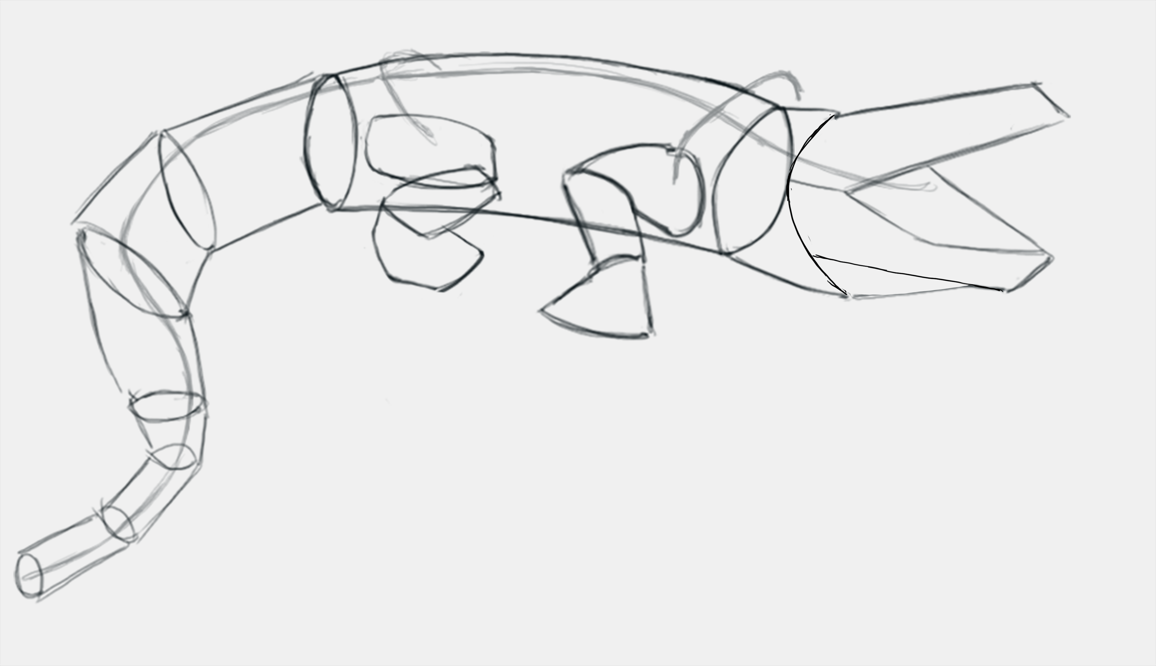 dessiner un crocodile étape 9