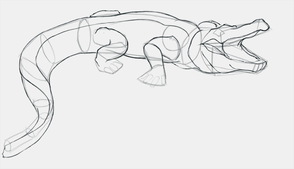 dessiner les détails du crocodile étape 1