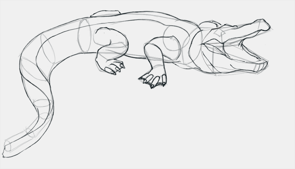 dessiner les détails du crocodile étape 2