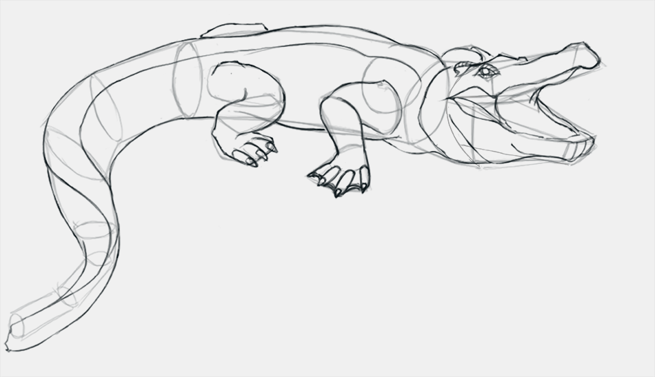 dessiner les détails du crocodile étape 3