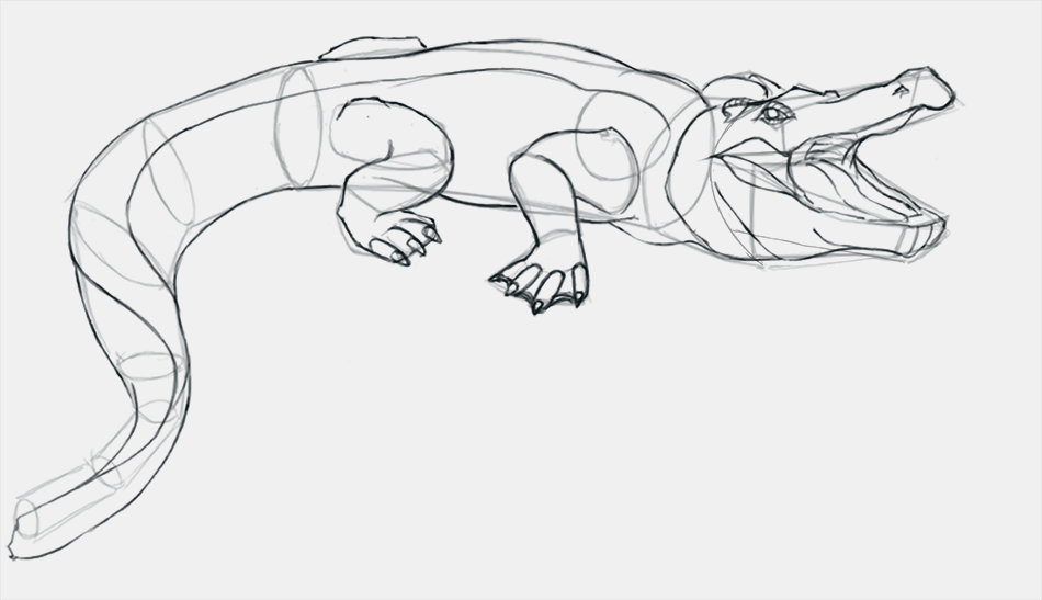 dessiner les détails du crocodile étape 4