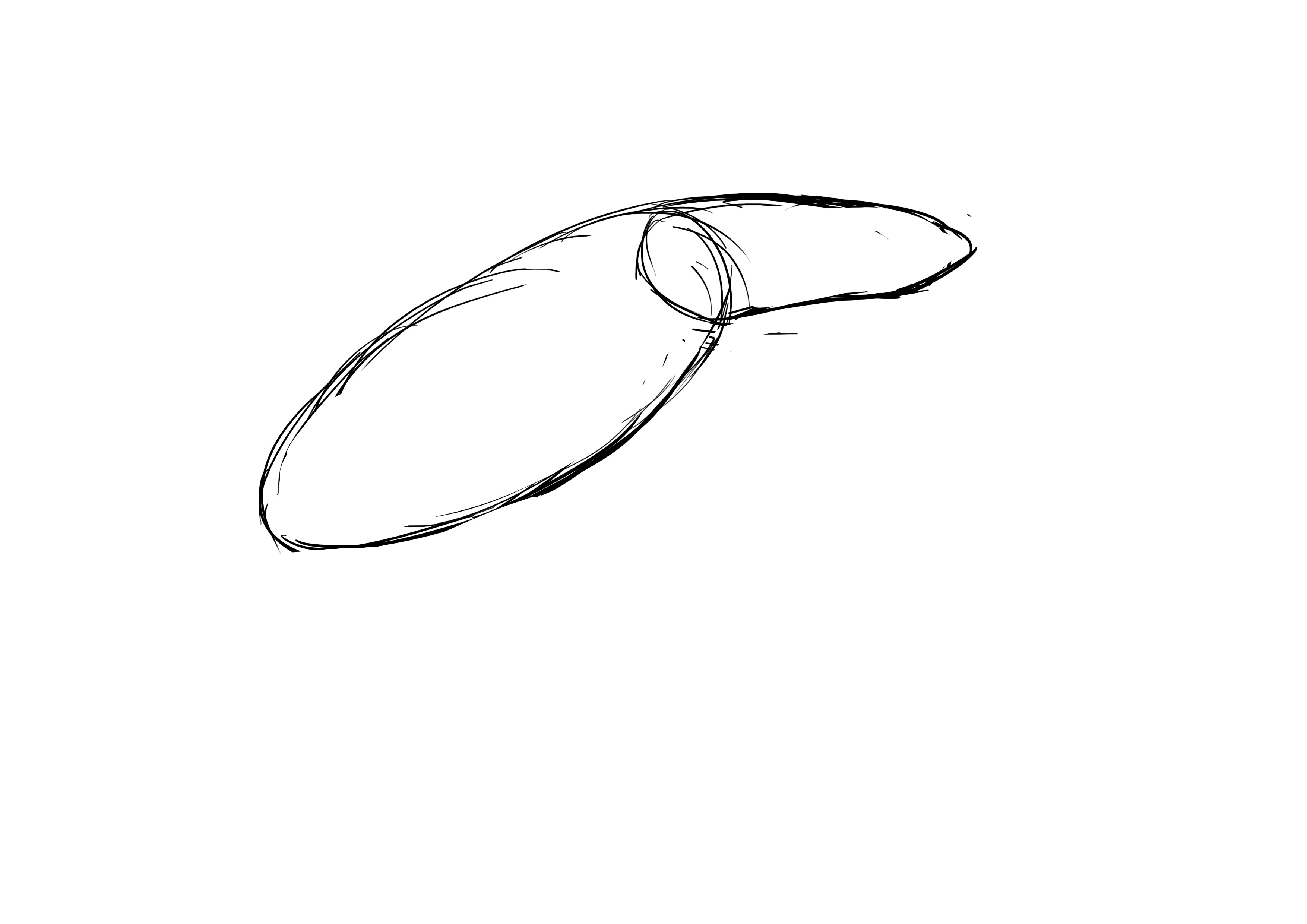 Dessiner le corps du dauphin