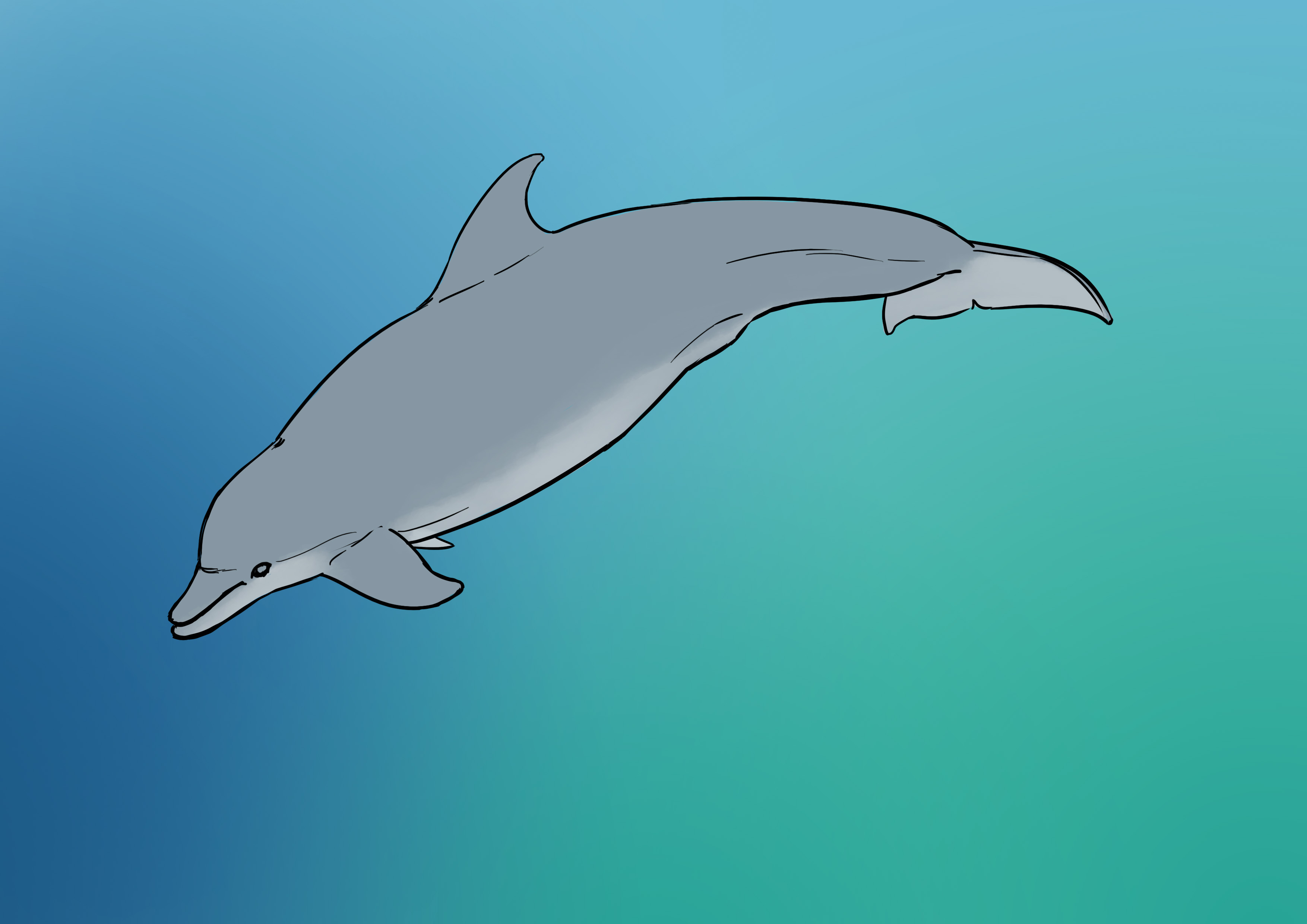 Appliquer la couleur au dauphin